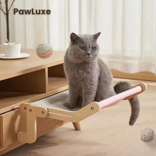 PawLuxe - Katzen Fenster
