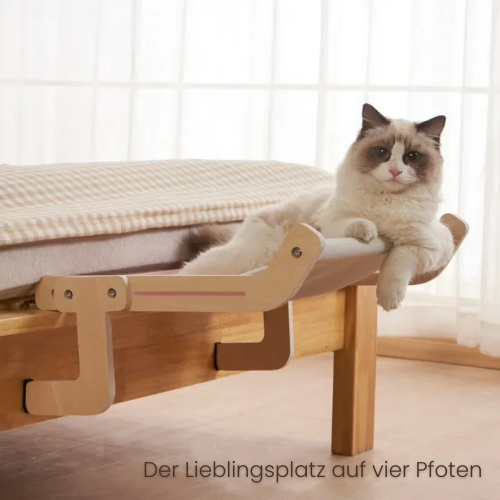 PawLuxe - Katzen Fenster